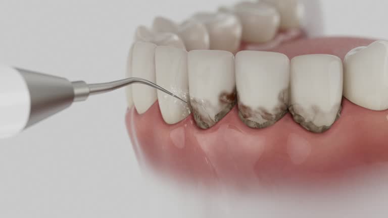 Reliable Dental contractor in Westminster, MD by Dentist Open Now